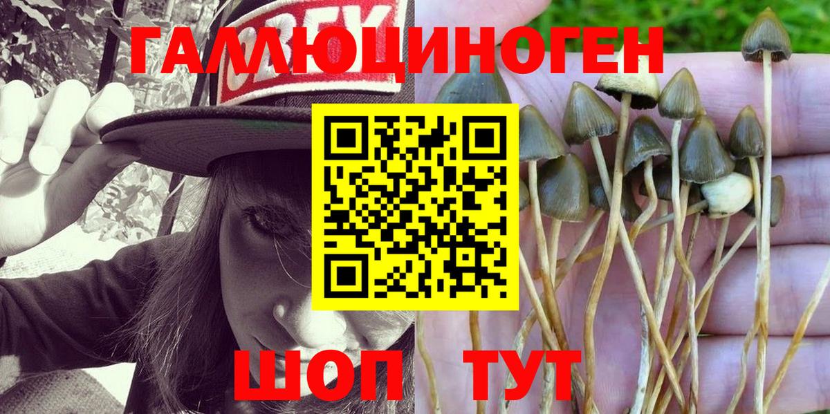 Псилоцибиновые грибы прущие грибы Королёв
