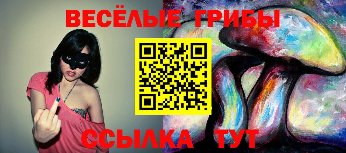Галлюциногенные грибы GOLDEN TEACHER  продажа наркотиков  Вход с VPN  Королёв  Галлюциногенные грибы мицелий 